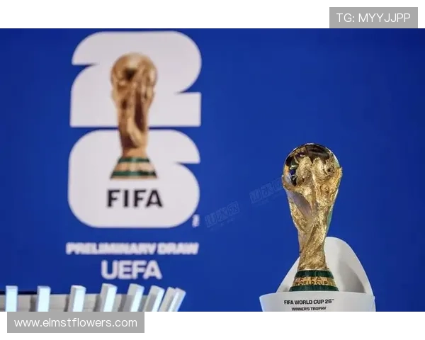 2026年世界杯分组情况公布后对晋级形势的深度解读