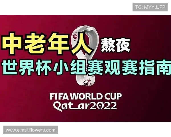 2026年世界杯中国时间调整及观赛指南，帮助粉丝合理安排观看时间