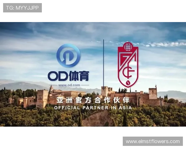 全面解析OD体育平台开户步骤及常见问题解决方案