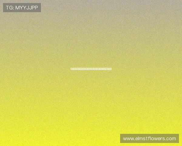 比利时对新西兰比赛中明星球员名单全景解析及比赛战术分析